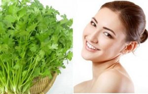 Rau mùi trị cảm mạo