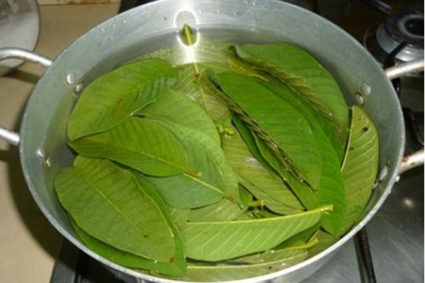 Tắm lá ổi có tác chữa hôi nách