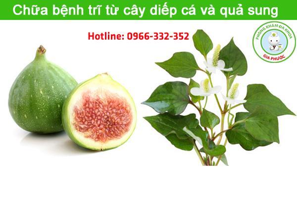 ăn rau diếp cá kết hợp với quả sung